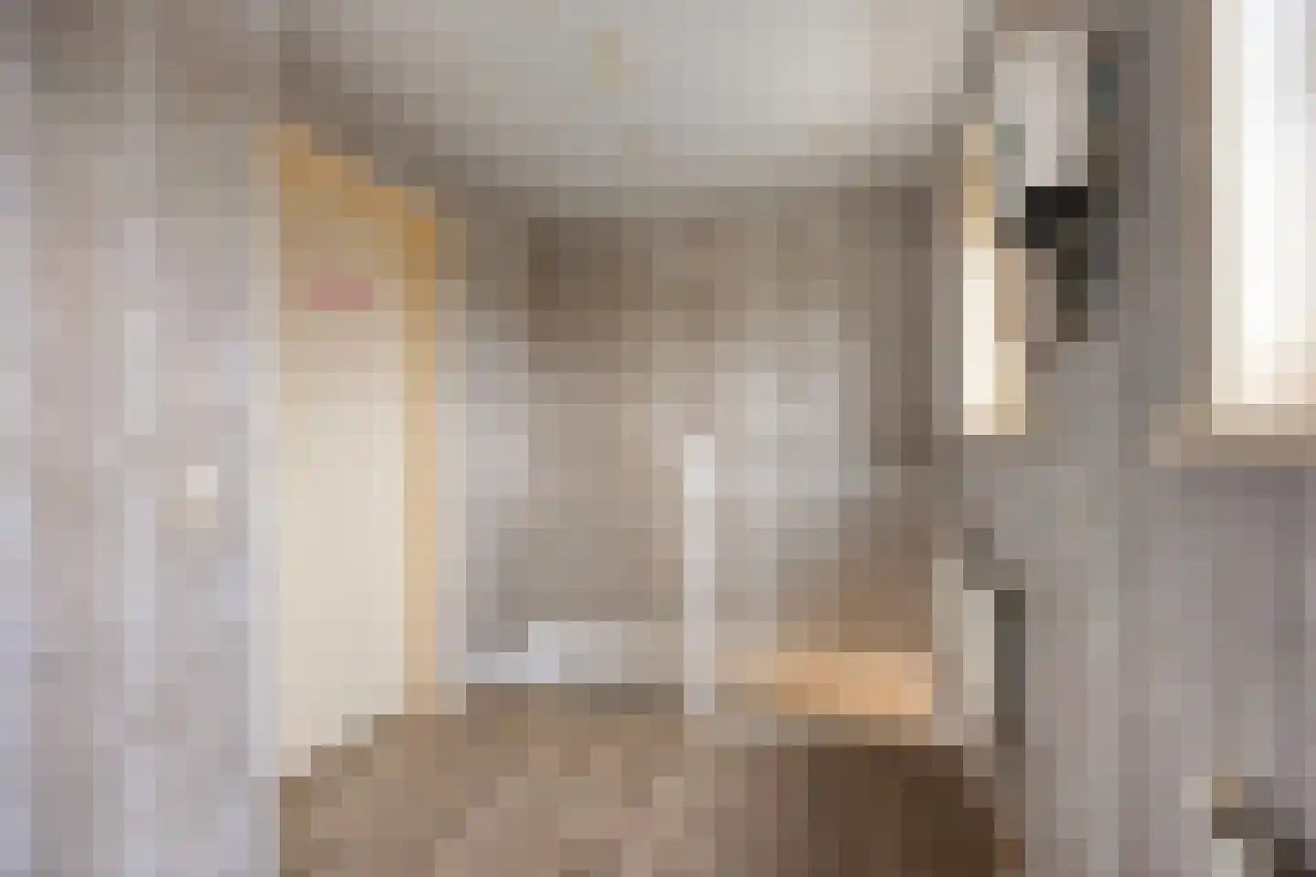 Aagje Dekentuin 25 Heerhugowaard thumbnail 18