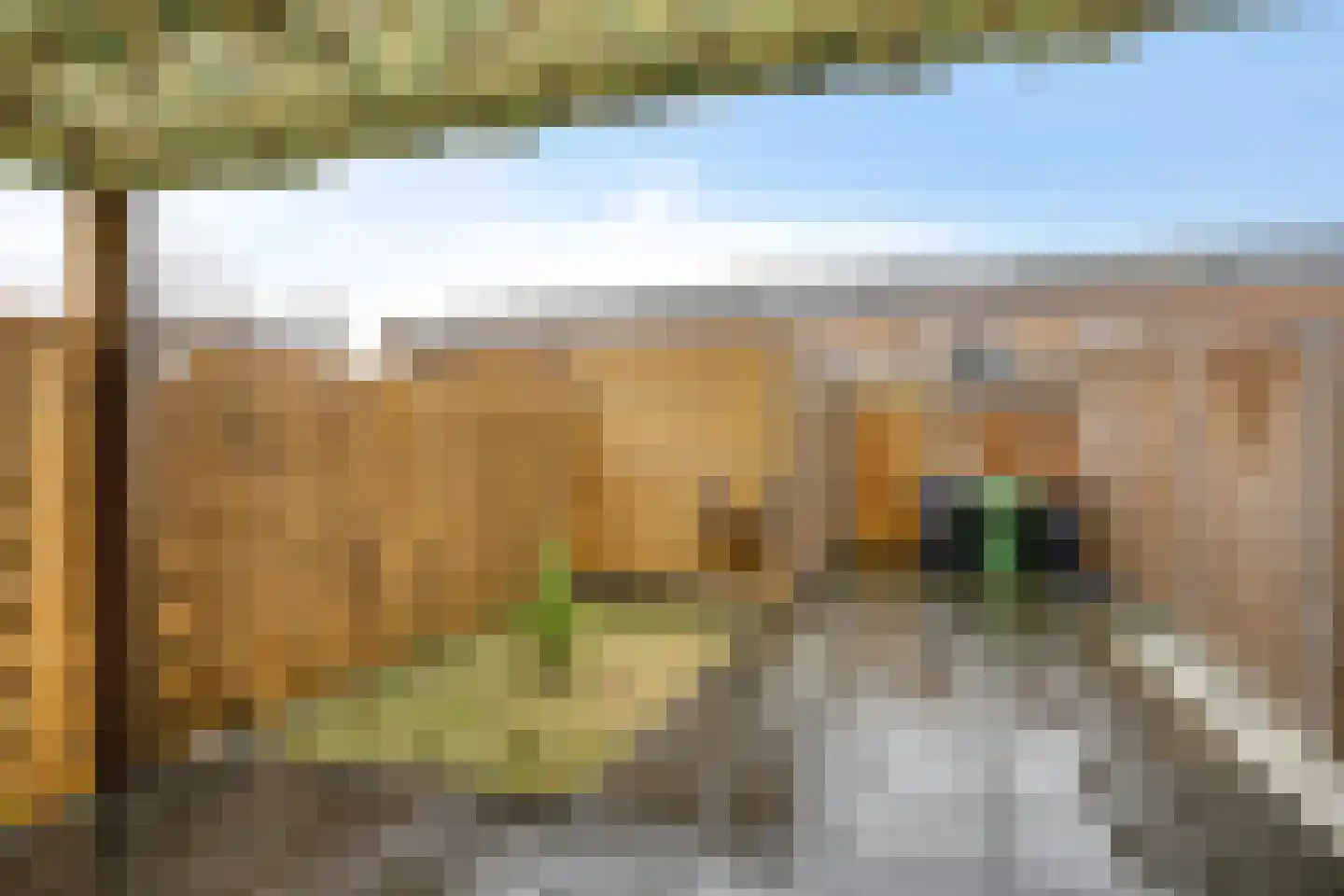 Aagje Dekentuin 25 Heerhugowaard thumbnail 21