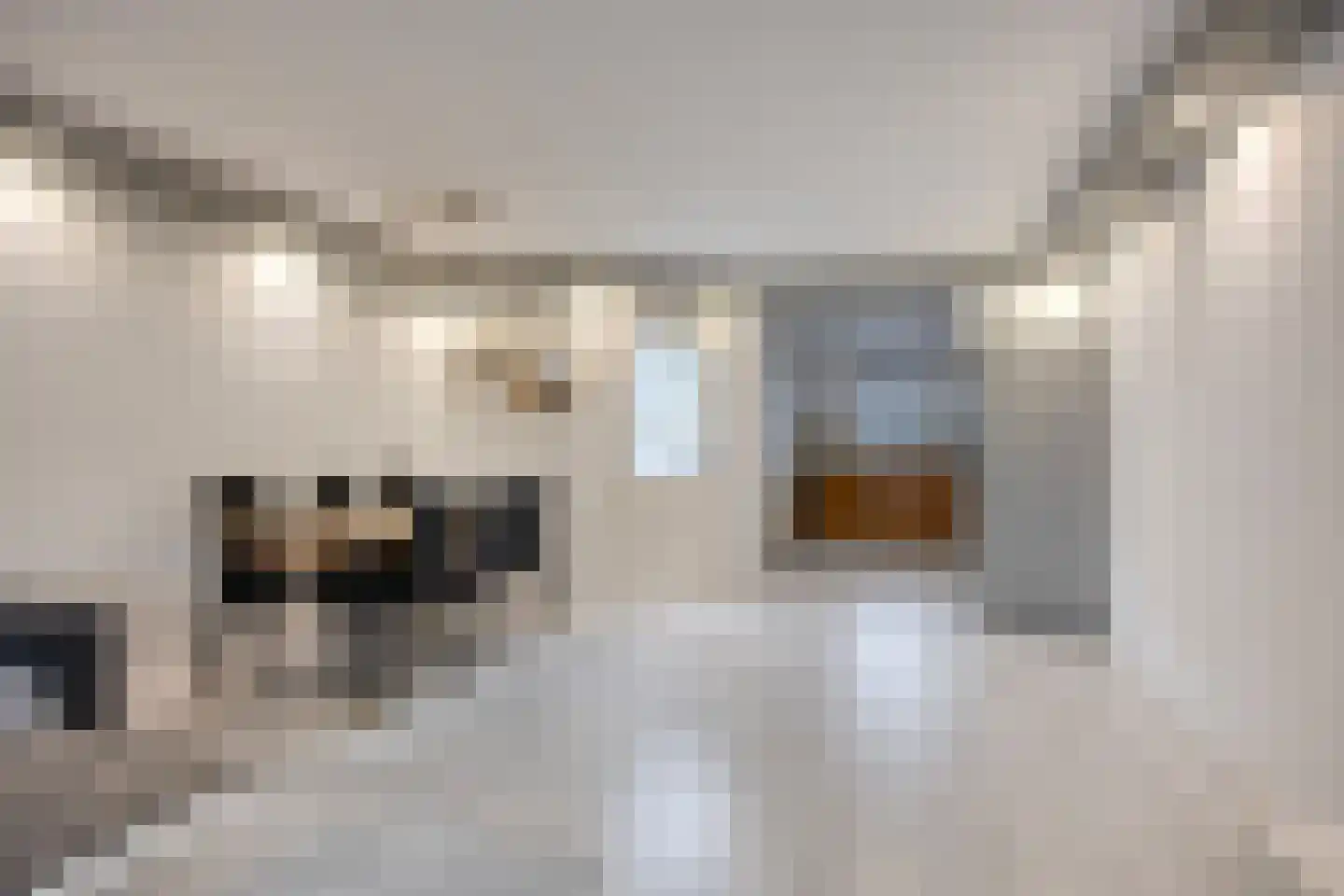 Aagje Dekentuin 25 Heerhugowaard thumbnail 6