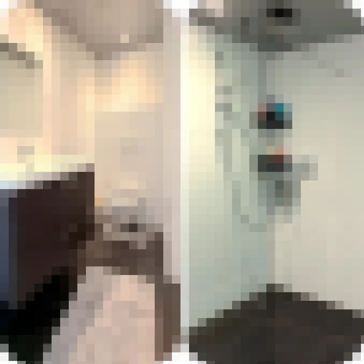 Aagje Dekentuin 25 Heerhugowaard thumbnail 8