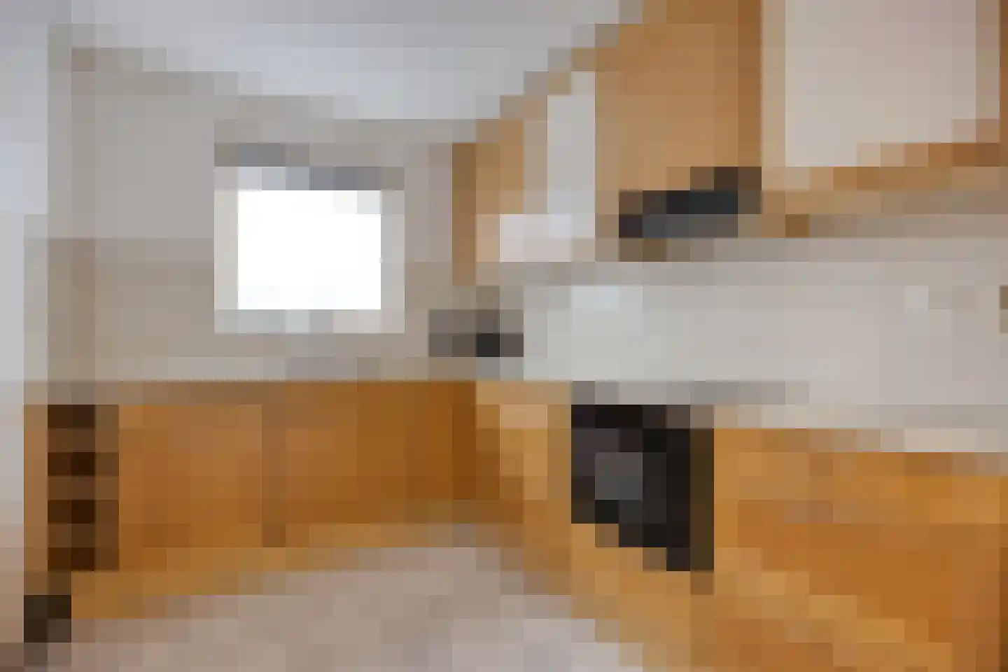 Aagje Dekentuin 25 Heerhugowaard thumbnail 8
