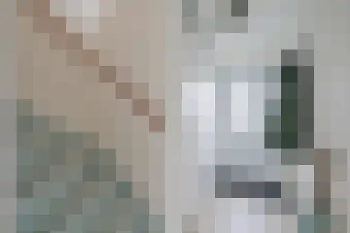 Aagje Dekentuin 28 Heerhugowaard thumbnail 17