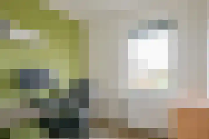 Aagje Dekentuin 28 Heerhugowaard thumbnail 19