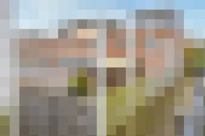 Aagje Dekentuin 28 Heerhugowaard thumbnail 28