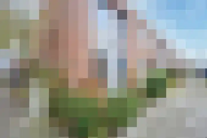 Aagje Dekentuin 28 Heerhugowaard thumbnail 31