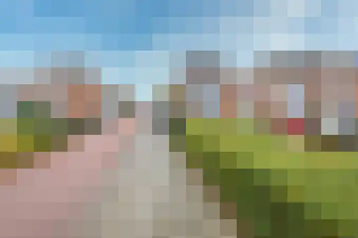 Aagje Dekentuin 28 Heerhugowaard thumbnail 34