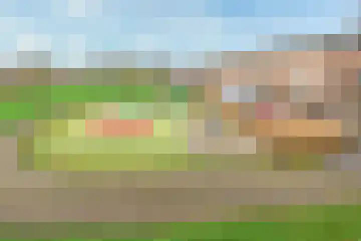 Aagje Dekentuin 28 Heerhugowaard thumbnail 36