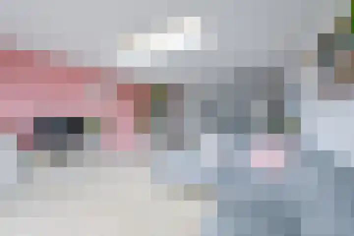 Aagje Dekentuin 28 Heerhugowaard thumbnail 8