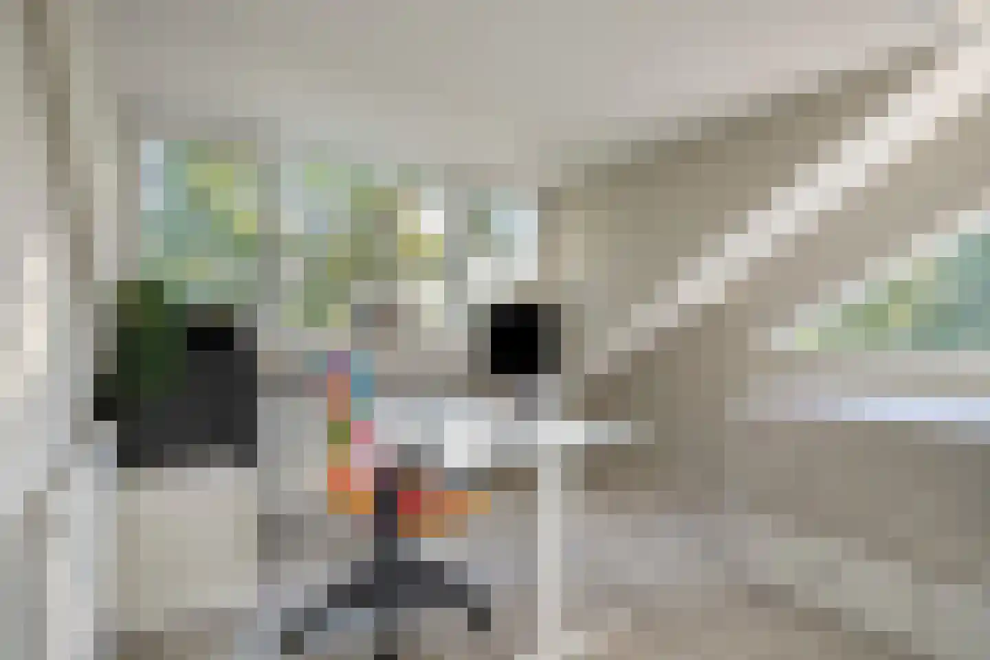 Aagje Dekenweg 23 Veenendaal thumbnail 31