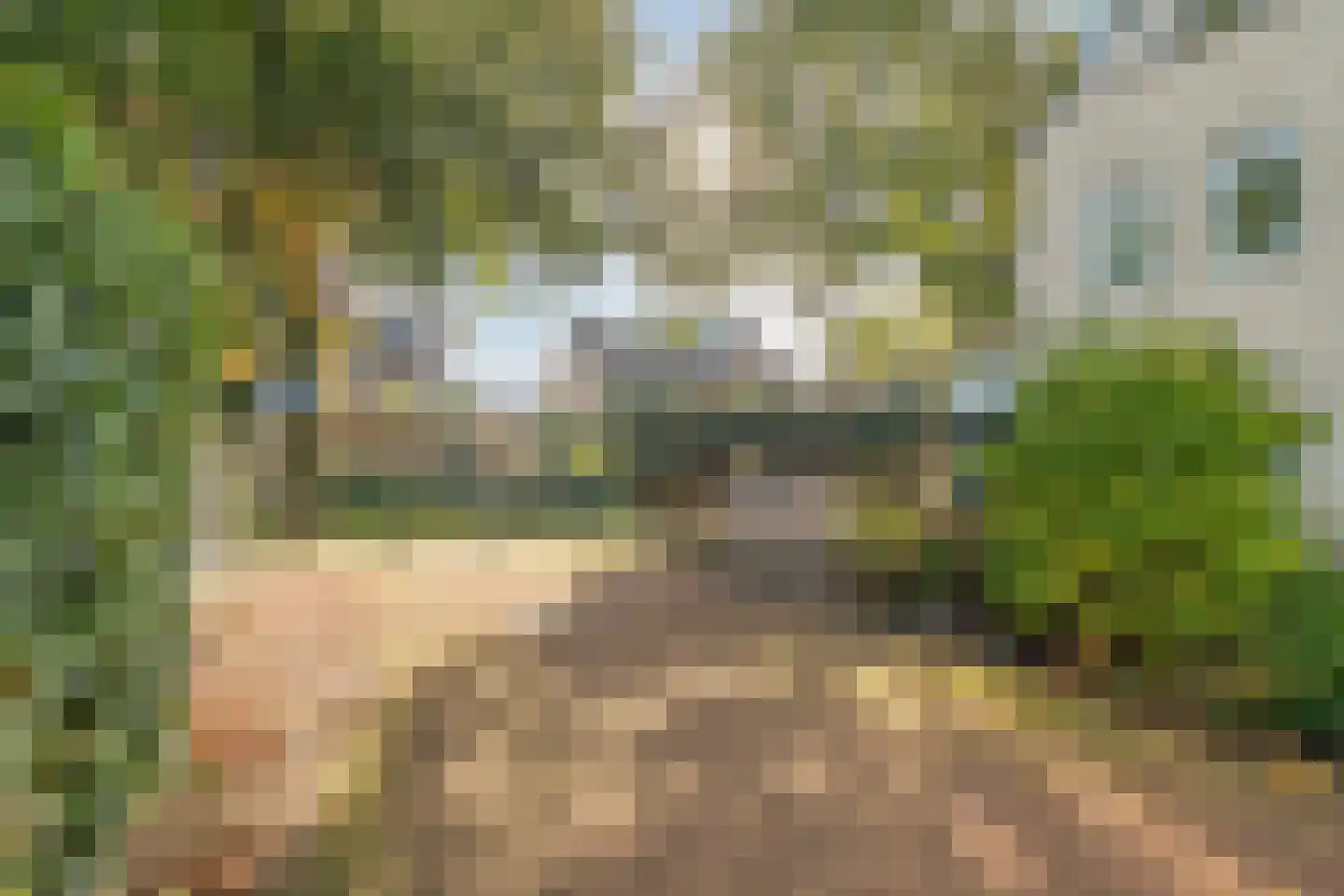 Aagje Dekenweg 23 Veenendaal thumbnail 34