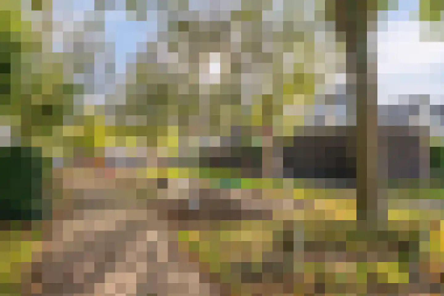 Aagje Dekenweg 23 Veenendaal thumbnail 37
