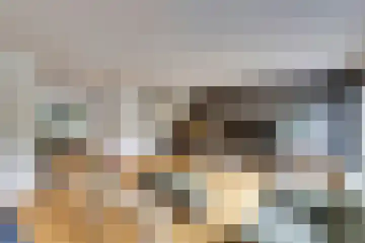 Aagjesboomgaard 13 Vleuten thumbnail 12