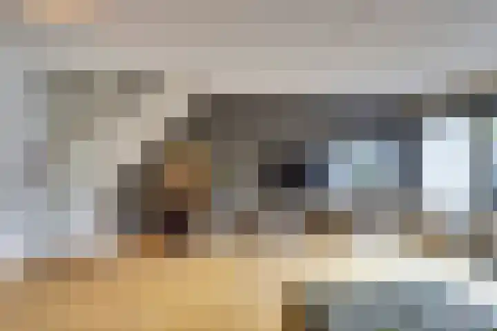 Aagjesboomgaard 13 Vleuten thumbnail 14