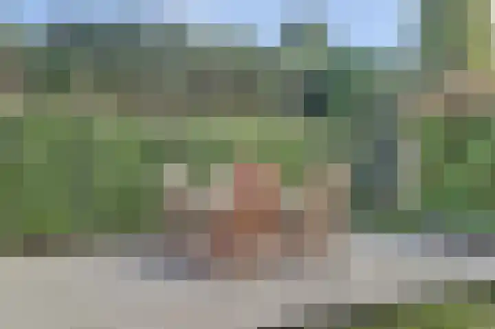 Aagjesboomgaard 13 Vleuten thumbnail 20
