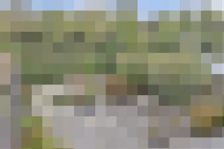 Aagjesboomgaard 13 Vleuten thumbnail 22