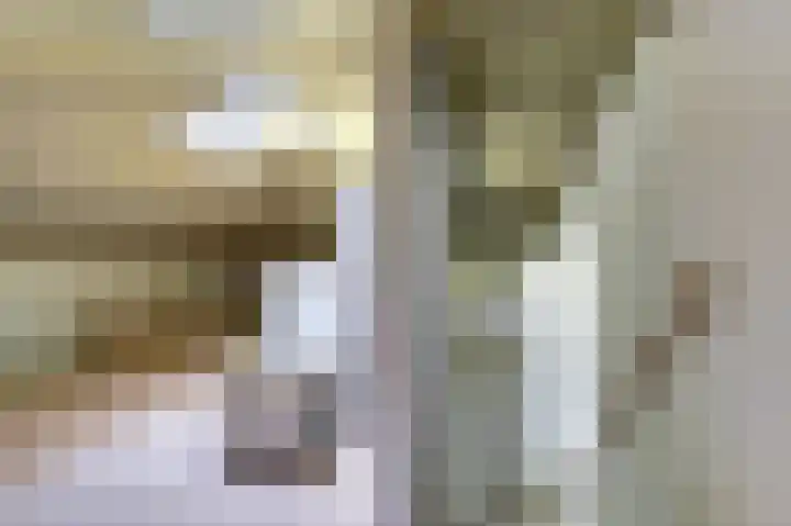 Aagjesboomgaard 13 Vleuten thumbnail 36