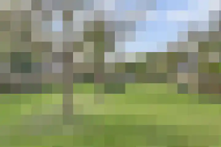 Aagjesboomgaard 13 Vleuten thumbnail 39