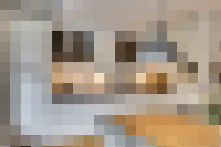 Aagjesboomgaard 13 Vleuten thumbnail 6