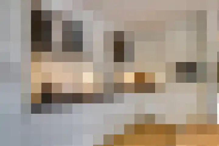 Aagjesboomgaard 13 Vleuten thumbnail 7