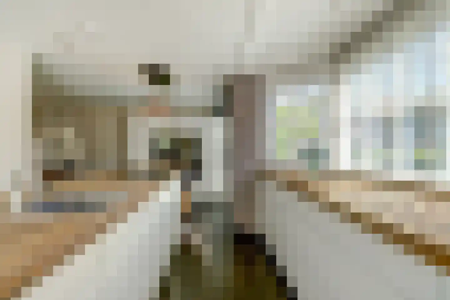 Aagtegroet 6 Zuid-Scharwoude thumbnail 17