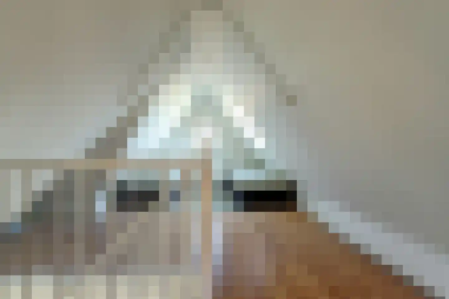 Aagtegroet 6 Zuid-Scharwoude thumbnail 40