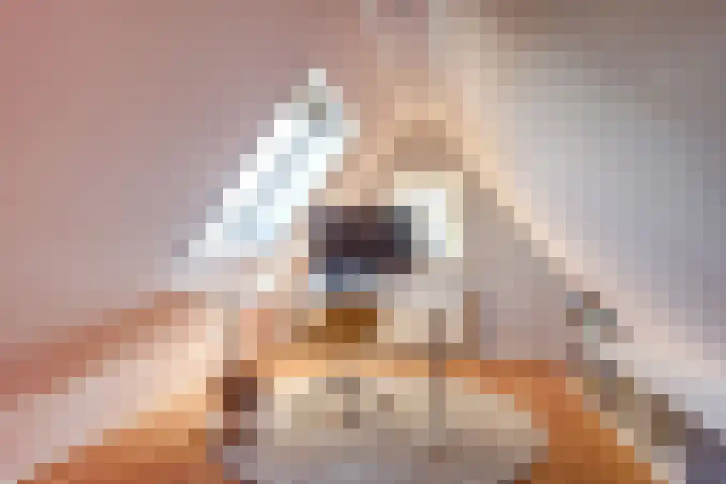 Aagtegroet 6 Zuid-Scharwoude thumbnail 44
