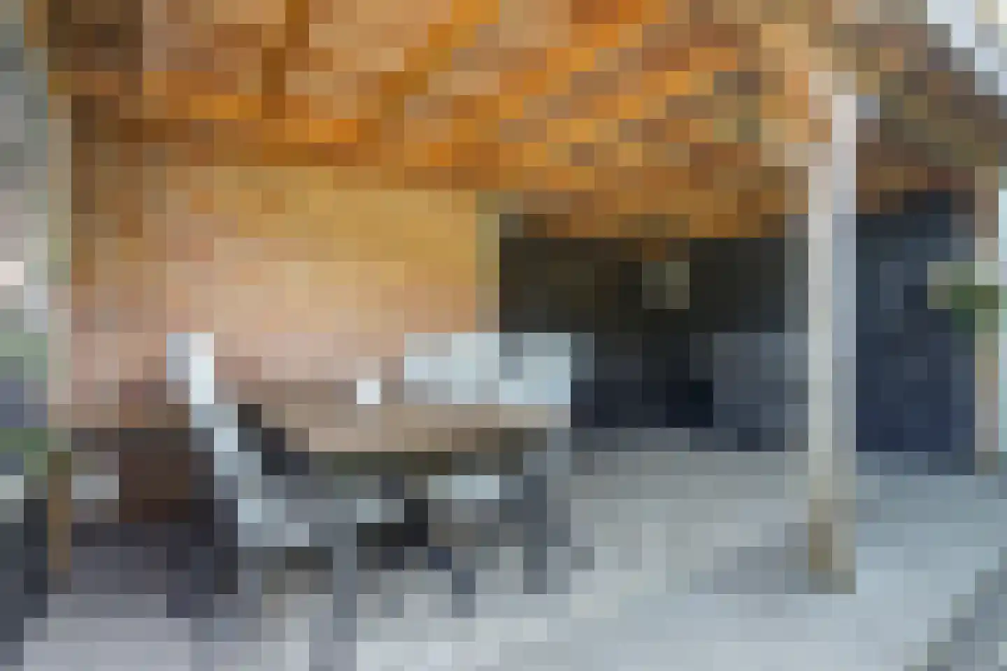 Aagtegroet 6 Zuid-Scharwoude thumbnail 46