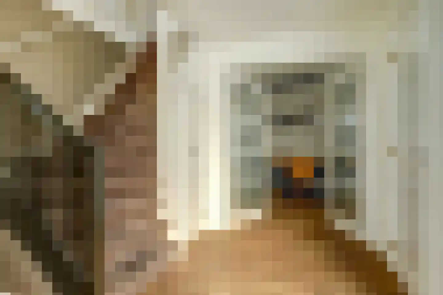 Aagtegroet 6 Zuid-Scharwoude thumbnail 7