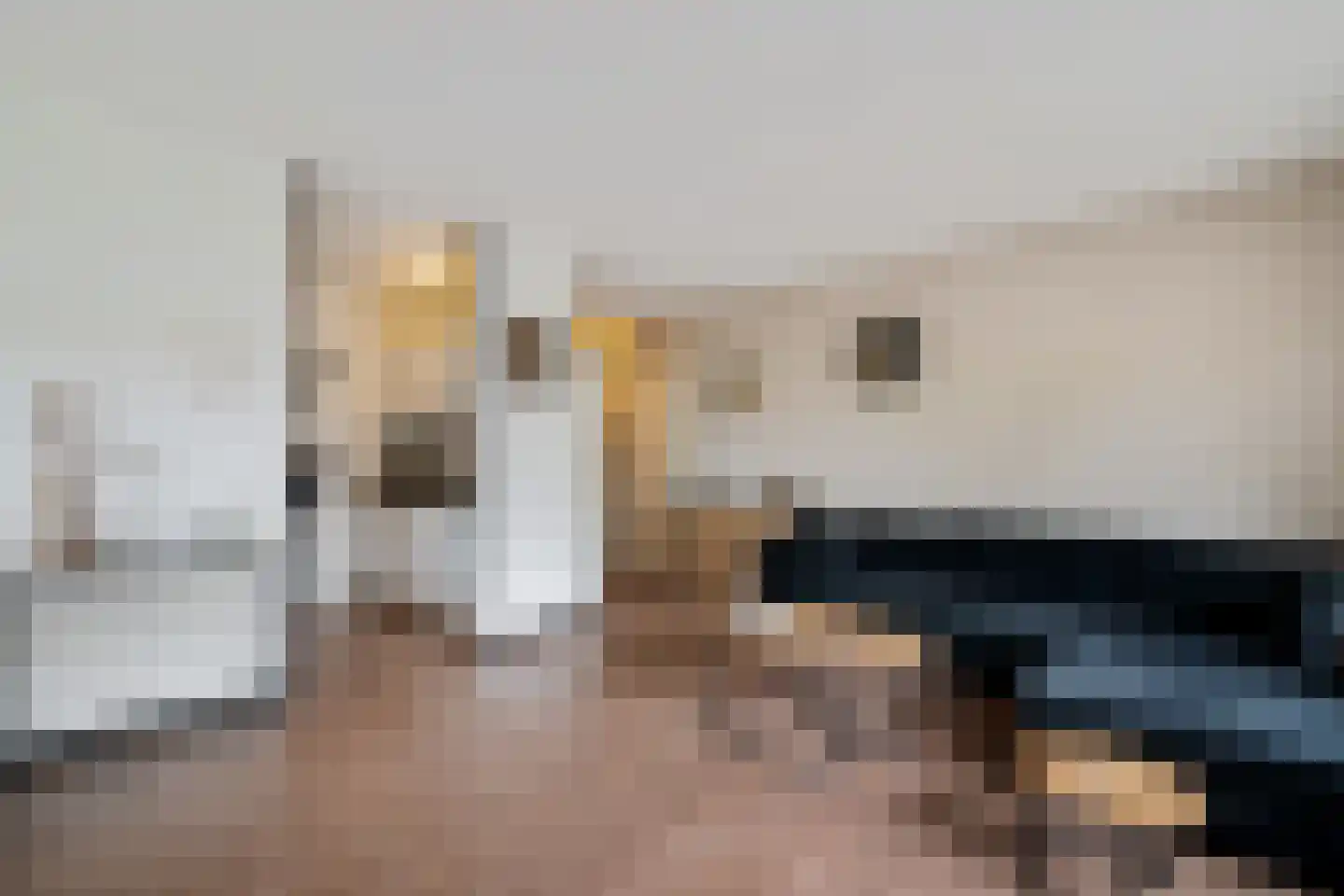 Aagtekerkesingel 24 Arnhem thumbnail 29
