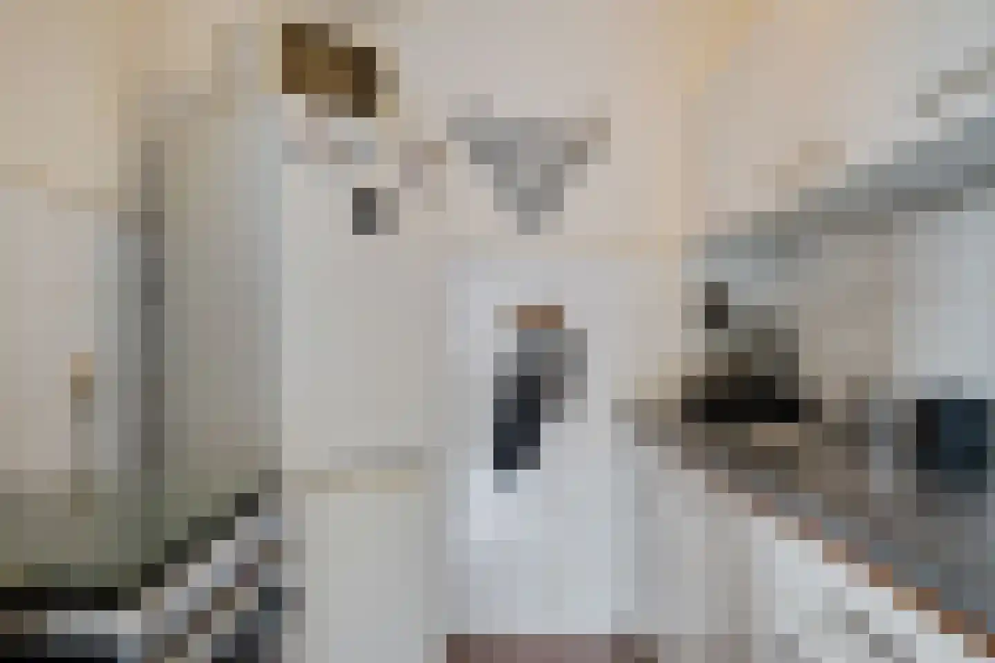 Aagtekerkesingel 24 Arnhem thumbnail 31