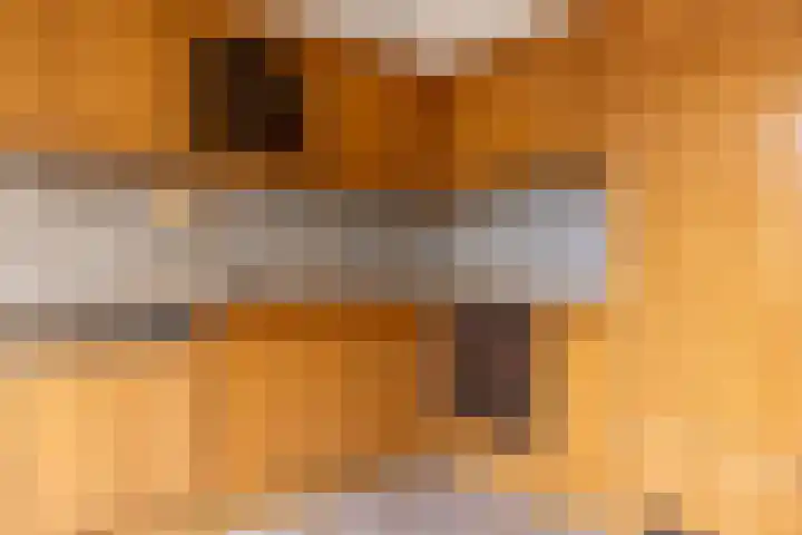 Aagtemanweg 12 Harreveld thumbnail 11