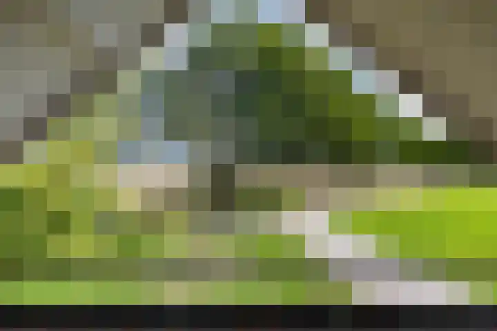 Aagtemanweg 12 Harreveld thumbnail 19