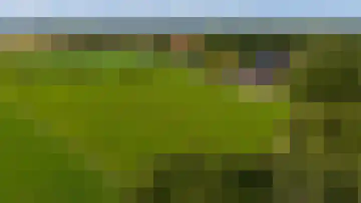 Aagtemanweg 12 Harreveld thumbnail 24