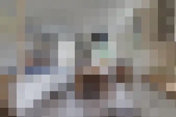Aagtemanweg 7 Harreveld thumbnail 13