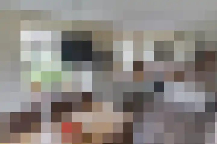 Aagtemanweg 7 Harreveld thumbnail 14
