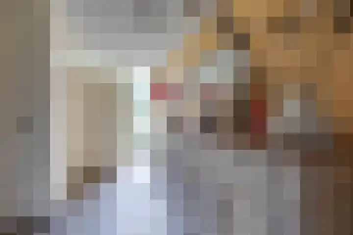 Aagtemanweg 7 Harreveld thumbnail 18