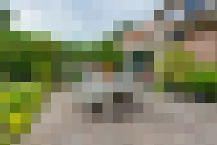 Aagtemanweg 7 Harreveld thumbnail 39