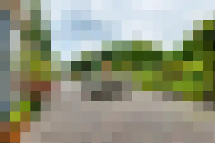 Aagtemanweg 7 Harreveld thumbnail 40