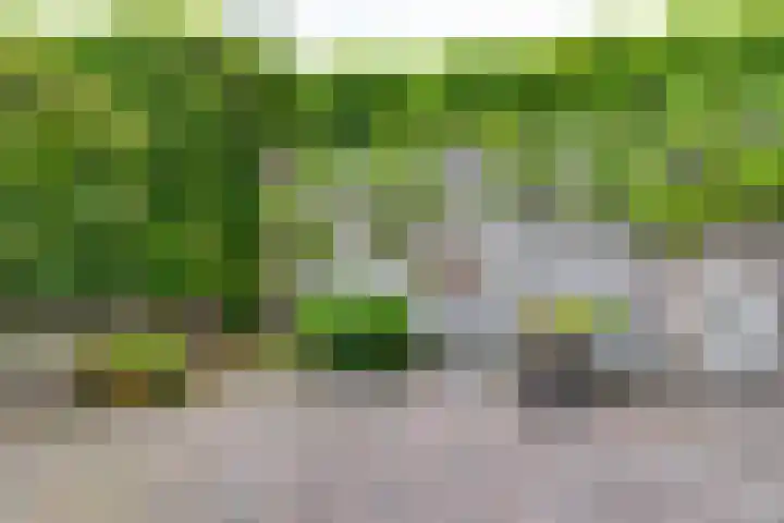 Aagtemanweg 7 Harreveld thumbnail 41