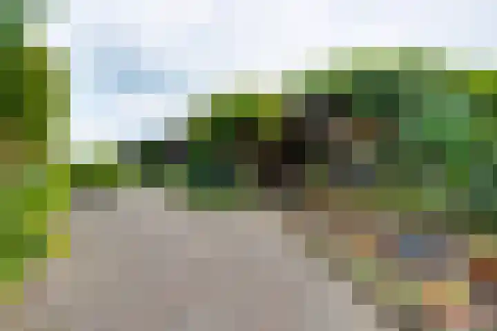 Aagtemanweg 7 Harreveld thumbnail 43
