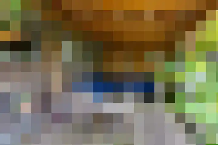 Aagtemanweg 7 Harreveld thumbnail 44