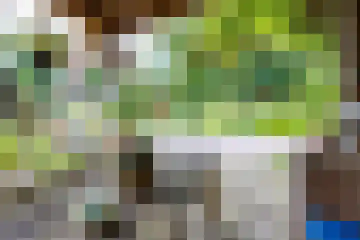 Aagtemanweg 7 Harreveld thumbnail 45