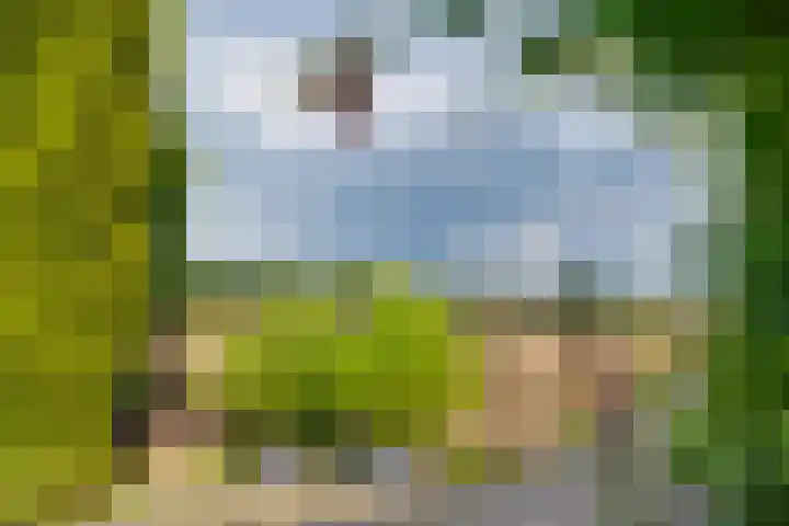 Aagtemanweg 7 Harreveld thumbnail 46