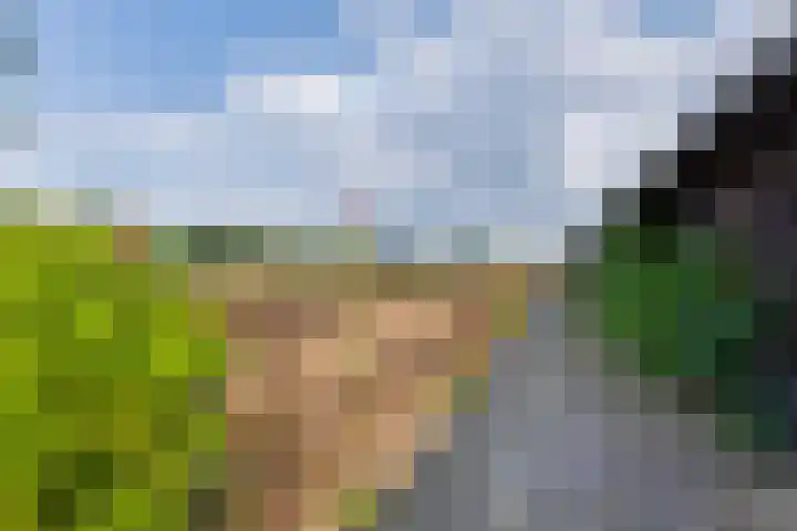 Aagtemanweg 7 Harreveld thumbnail 47