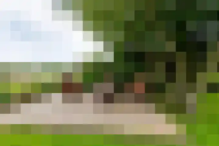 Aagtemanweg 7 Harreveld thumbnail 48