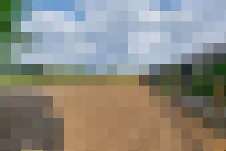 Aagtemanweg 7 Harreveld thumbnail 49