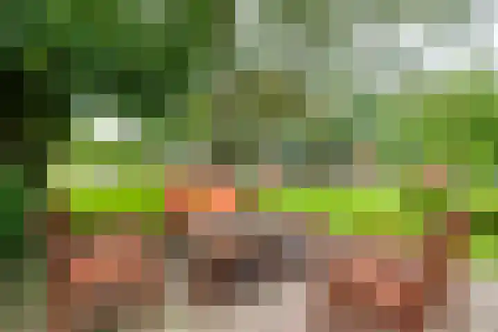 Aagtemanweg 7 Harreveld thumbnail 5