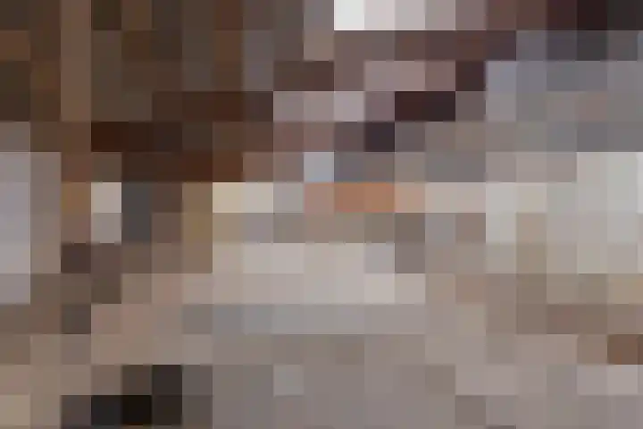 Aagtemanweg 7 Harreveld thumbnail 51