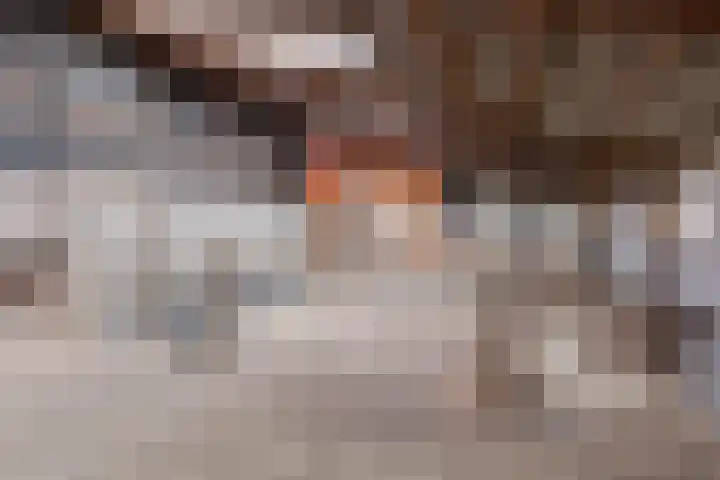 Aagtemanweg 7 Harreveld thumbnail 52