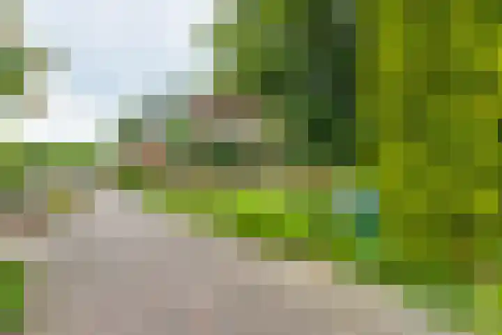 Aagtemanweg 7 Harreveld thumbnail 57